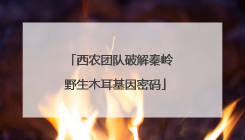 西农团队破解秦岭野生木耳基因密码