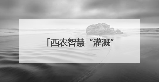 西农智慧“灌溉” 沙漠樱桃别样红