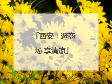 西安：逛商场 享清凉