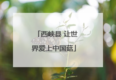 西峡县 让世界爱上中国菇
