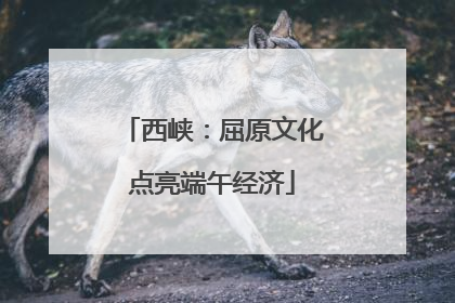 西峡：屈原文化点亮端午经济