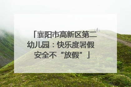 襄阳市高新区第二幼儿园：快乐度暑假 安全不“放假”