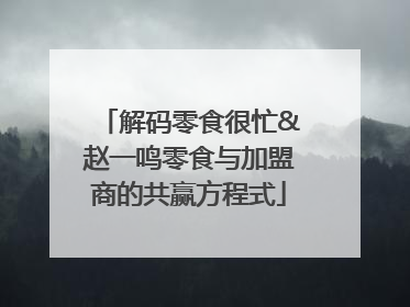 解码零食很忙&赵一鸣零食与加盟商的共赢方程式