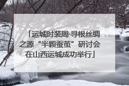 运城时装周·寻根丝绸之源“半颗蚕茧”研讨会在山西运城成功举行