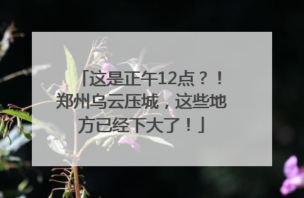 这是正午12点？！郑州乌云压城，这些地方已经下大了！
