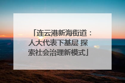 连云港新海街道：人大代表下基层 探索社会治理新模式