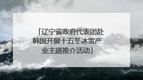 辽宁省政府代表团赴韩国开展十五冬冰雪产业主题推介活动