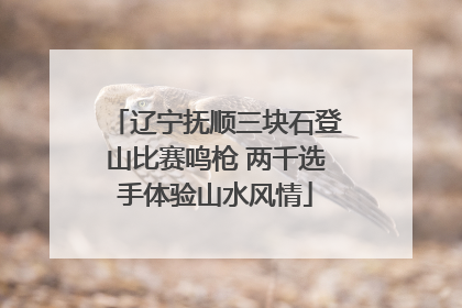 辽宁抚顺三块石登山比赛鸣枪 两千选手体验山水风情