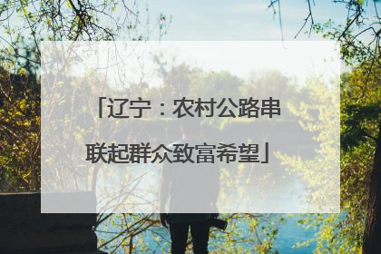 辽宁：农村公路串联起群众致富希望