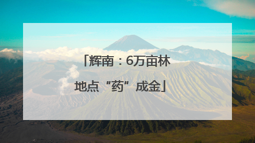 辉南：6万亩林地点“药”成金