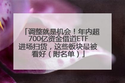 调整就是机会！年内超700亿资金借道ETF进场扫货，这些板块最被看好（附名单）