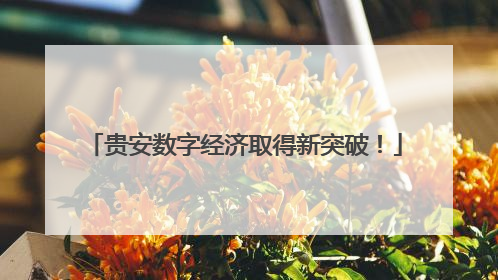 贵安数字经济取得新突破！