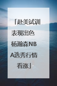 赴美试训表现出色 杨瀚森NBA选秀行情看涨
