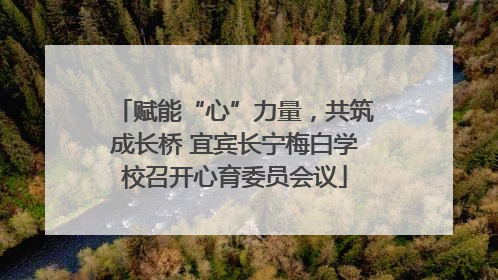 赋能“心”力量，共筑成长桥 宜宾长宁梅白学校召开心育委员会议
