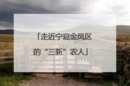 走近宁夏金凤区的“三新”农人