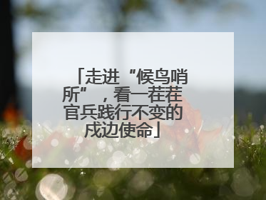 走进“候鸟哨所”，看一茬茬官兵践行不变的戍边使命
