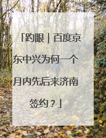 趵眼｜百度京东中兴为何一个月内先后来济南签约？