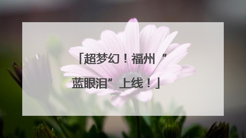 超梦幻！福州“蓝眼泪”上线！