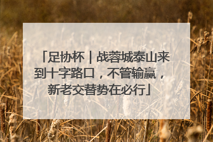 足协杯｜战蓉城泰山来到十字路口，不管输赢，新老交替势在必行