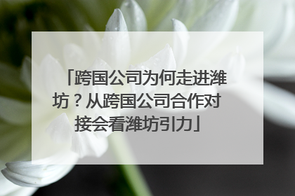 跨国公司为何走进潍坊？从跨国公司合作对接会看潍坊引力