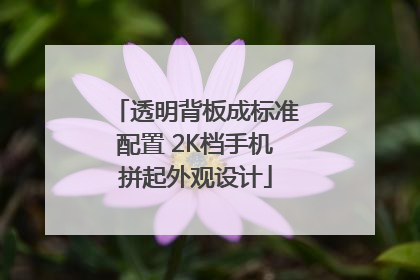 透明背板成标准配置 2K档手机拼起外观设计