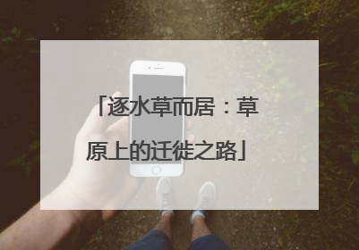 逐水草而居：草原上的迁徙之路