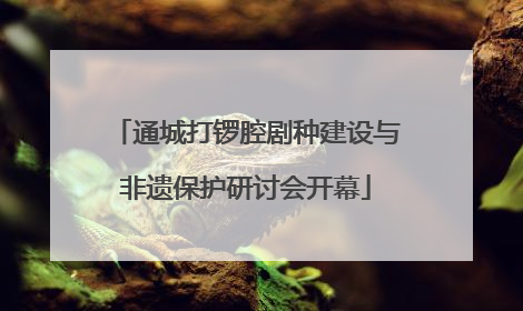 通城打锣腔剧种建设与非遗保护研讨会开幕