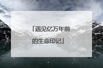遇见亿万年前的生命印记