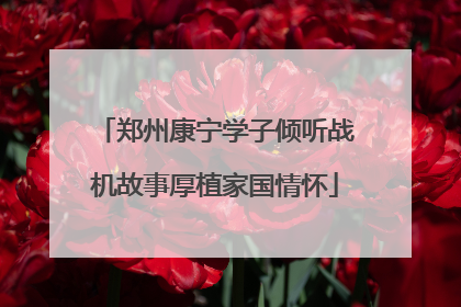 郑州康宁学子倾听战机故事厚植家国情怀
