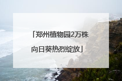 郑州植物园2万株向日葵热烈绽放