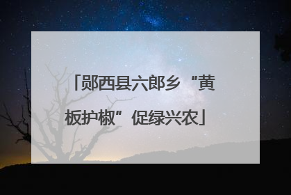 郧西县六郎乡“黄板护椒”促绿兴农