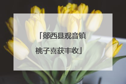 郧西县观音镇桃子喜获丰收