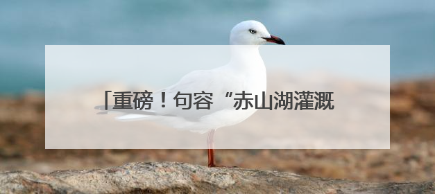 重磅！句容“赤山湖灌溉工程”成功入选“2025年度世界灌溉工程遗产”