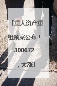 重大资产重组预案公布！300672，大涨