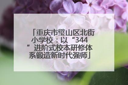 重庆市璧山区北街小学校：以“344”进阶式校本研修体系锻造新时代强师