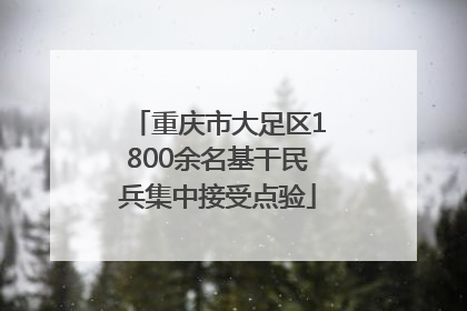 重庆市大足区1800余名基干民兵集中接受点验