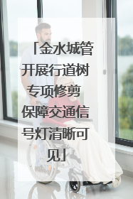 金水城管开展行道树专项修剪 保障交通信号灯清晰可见