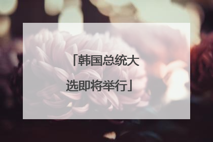 韩国总统大选即将举行
