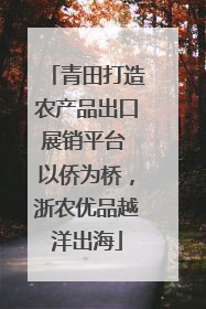 青田打造农产品出口展销平台 以侨为桥，浙农优品越洋出海