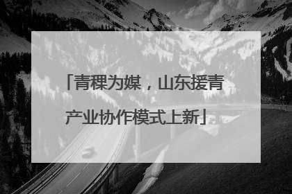 青稞为媒，山东援青产业协作模式上新