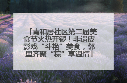 青和居社区第二届美食节火热开锣！非遗皮影戏“斗艳”美食，邻里齐聚“粽”享温情