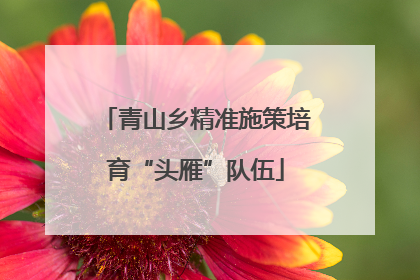 青山乡精准施策培育“头雁”队伍