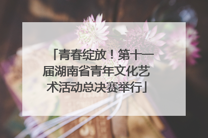 青春绽放！第十一届湖南省青年文化艺术活动总决赛举行