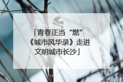 青春正当“燃” 《城市风华录》走进文明城市长沙