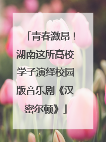 青春激昂！湖南这所高校学子演绎校园版音乐剧《汉密尔顿》