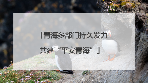 青海多部门持久发力共建“平安青海”