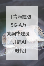 青海推动5G-A万兆网络建设 开启AI+时代