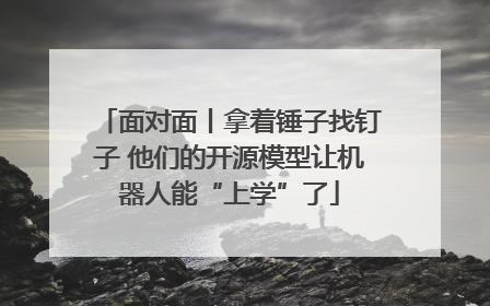 面对面丨拿着锤子找钉子 他们的开源模型让机器人能“上学”了