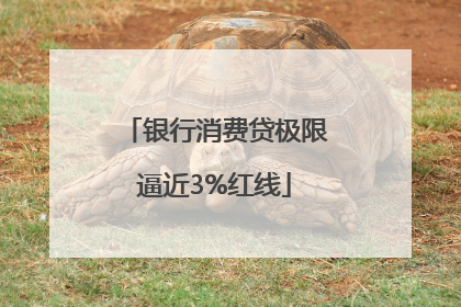 银行消费贷极限逼近3%红线