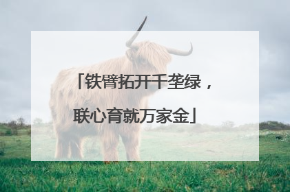 铁臂拓开千垄绿，联心育就万家金